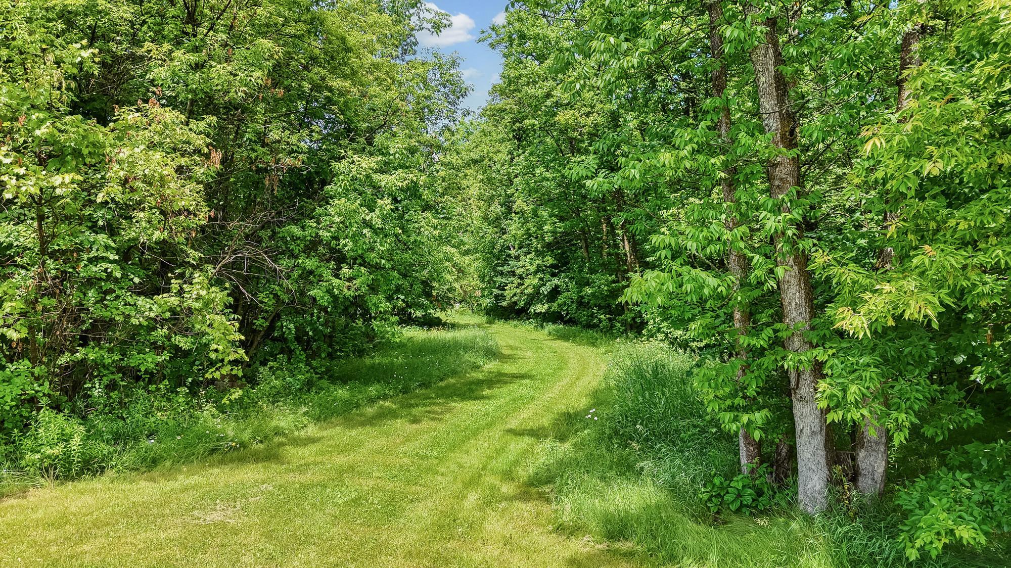 33532 State Hwy 46, Deer River MN 56636 - Photo 44 of 51