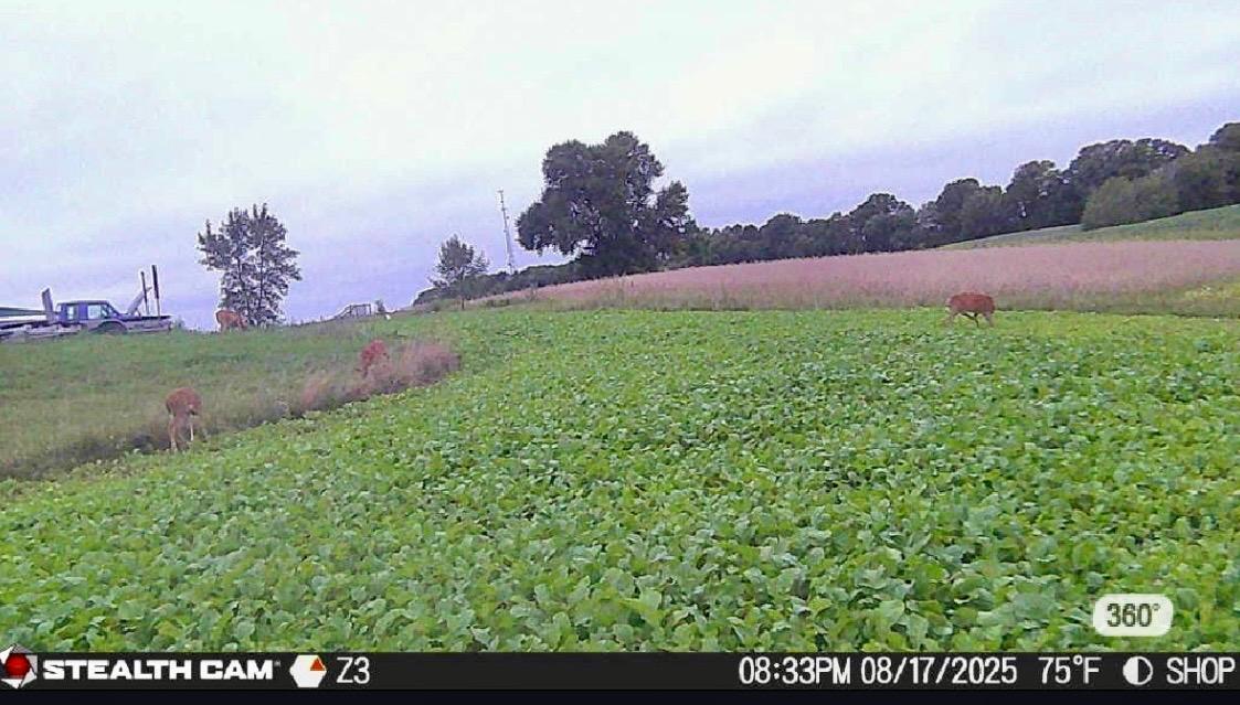 13272 County 11, Audubon MN 56511 - Photo 4 of 19