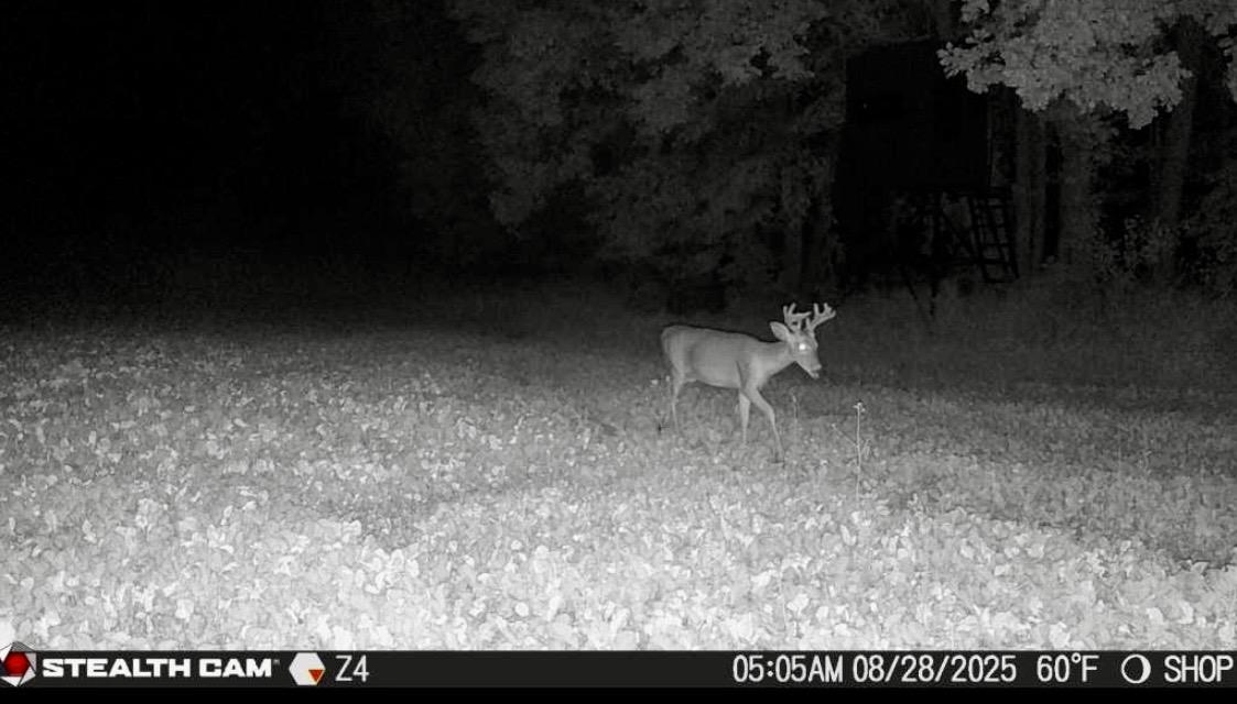 13272 County 11, Audubon MN 56511 - Photo 5 of 19