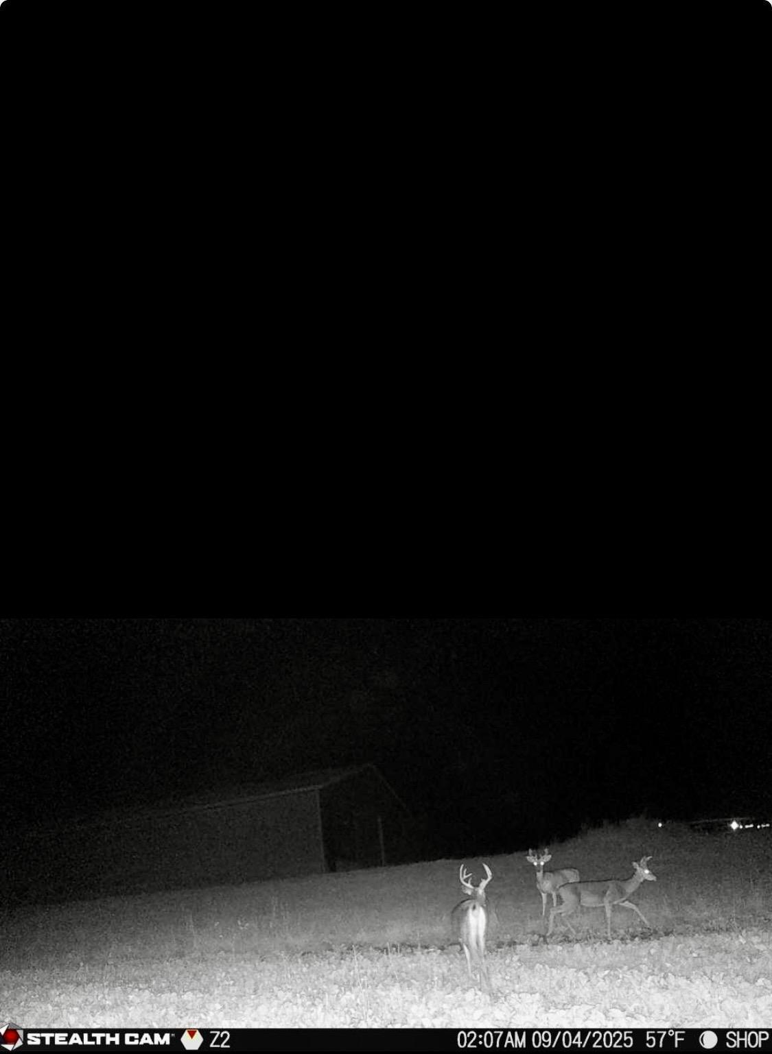 13272 County 11, Audubon MN 56511 - Photo 7 of 19