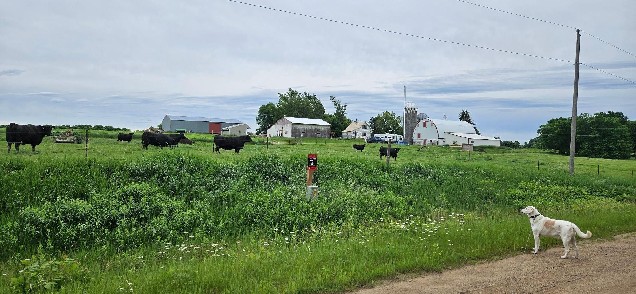 33598 State 28, Burtrum MN 56318 - Photo 31 of 31