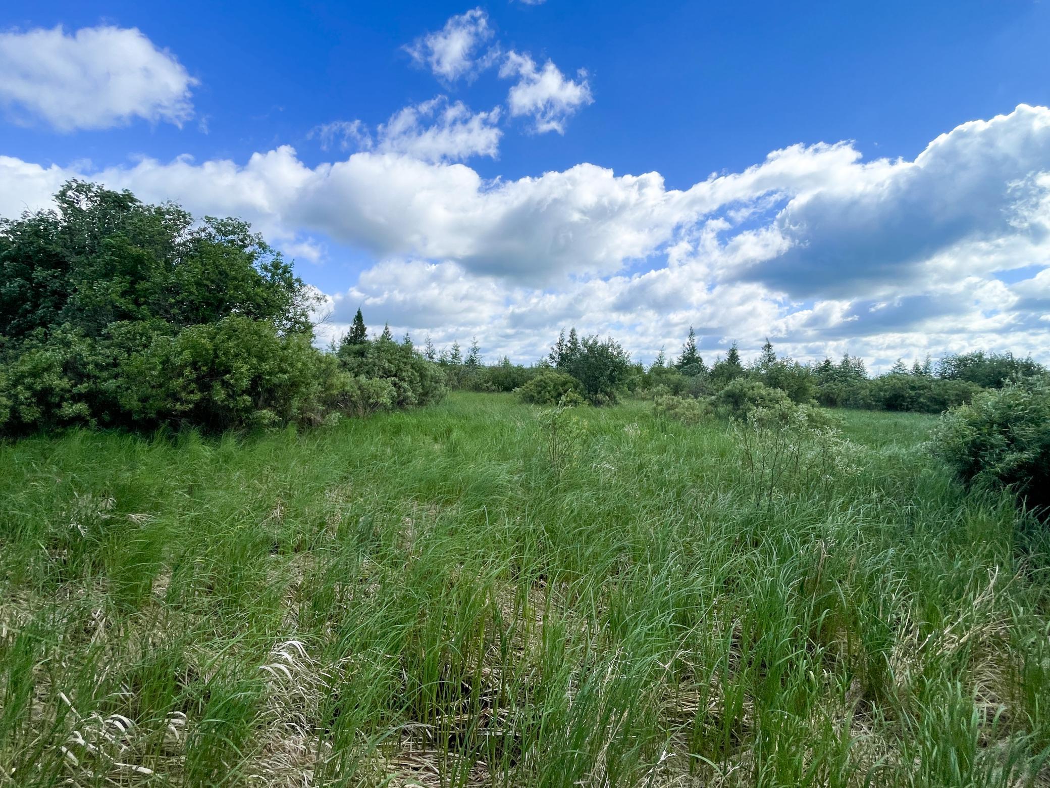 TBD Mud Lake Road, Bagley MN 56621 - Photo 18 of 46