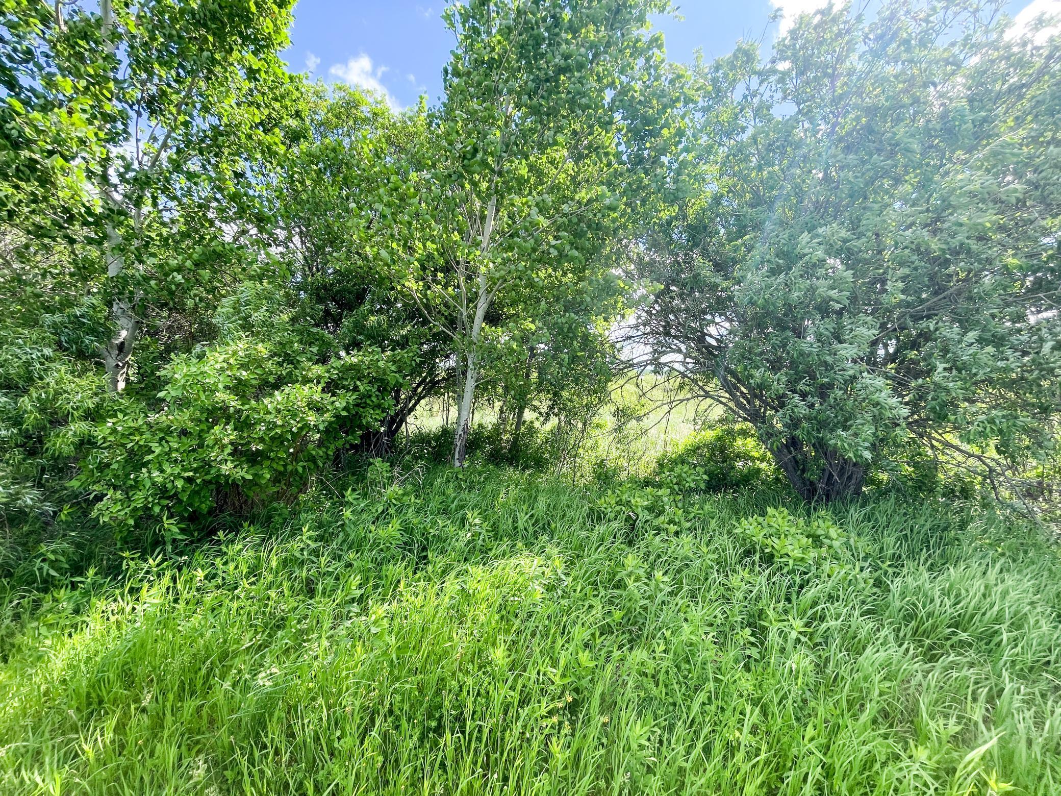 TBD Mud Lake Road, Bagley MN 56621 - Photo 26 of 46