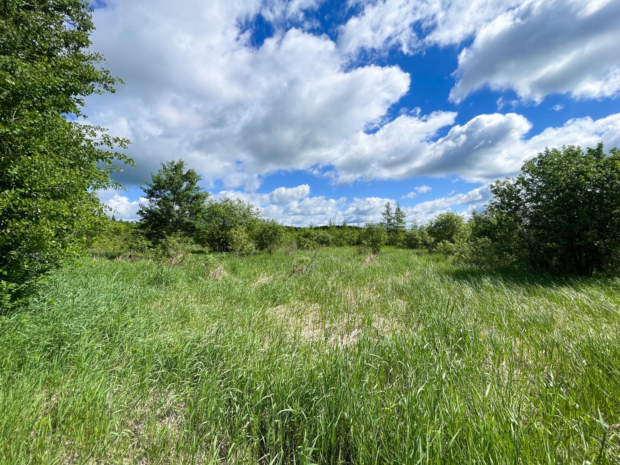 TBD Mud Lake Road, Bagley MN 56621 - Photo 38 of 46