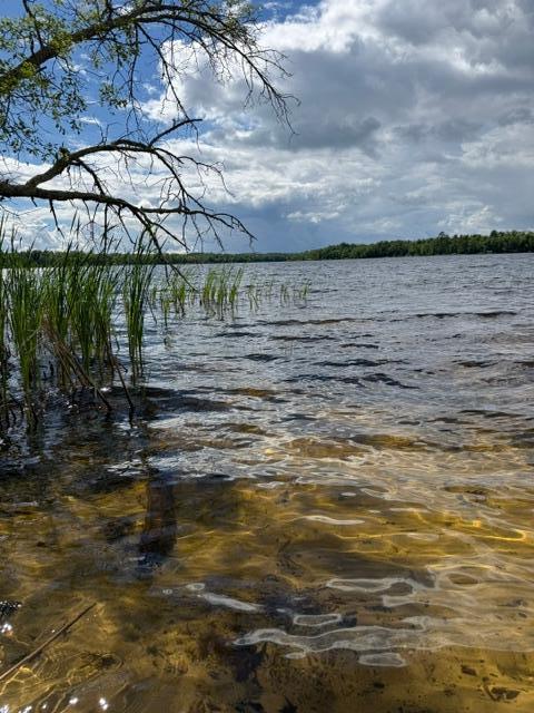 land for sale at 33775 Mcneil Road in Aitkin, MN