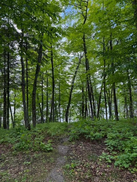 land for sale at 33775 Mcneil Road in Aitkin, MN (photo 11 of 24)
