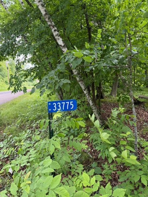 land for sale at 33775 Mcneil Road in Aitkin, MN (photo 15 of 24)