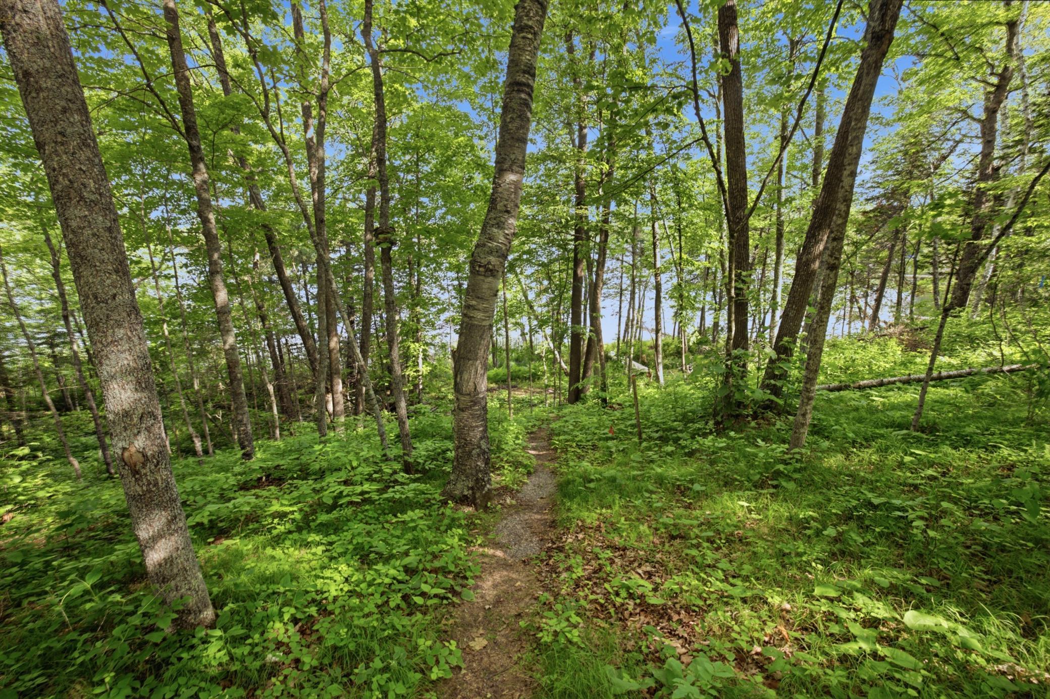 land for sale at 33775 Mcneil Road in Aitkin, MN (photo 16 of 24)