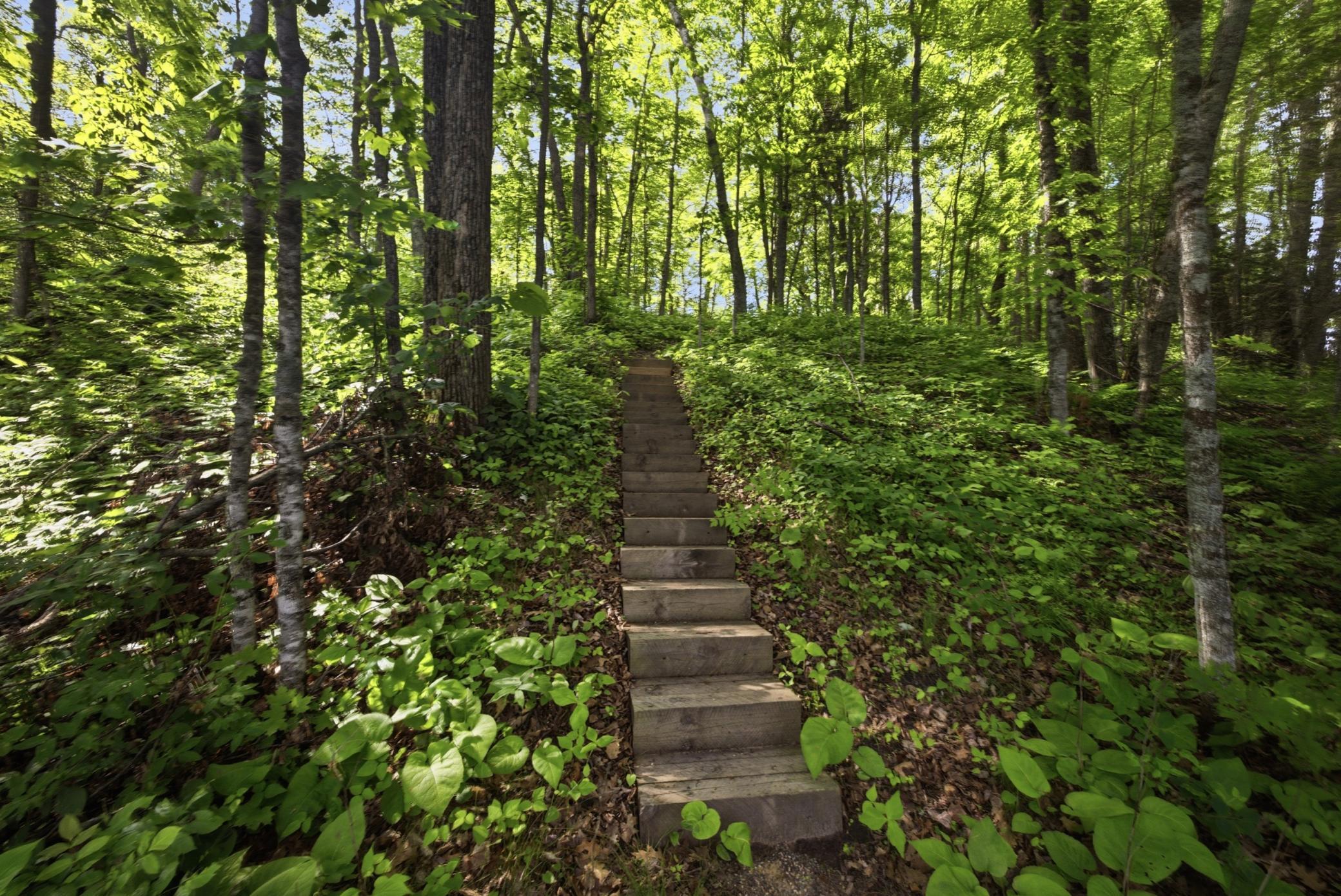 land for sale at 33775 Mcneil Road in Aitkin, MN (photo 18 of 24)
