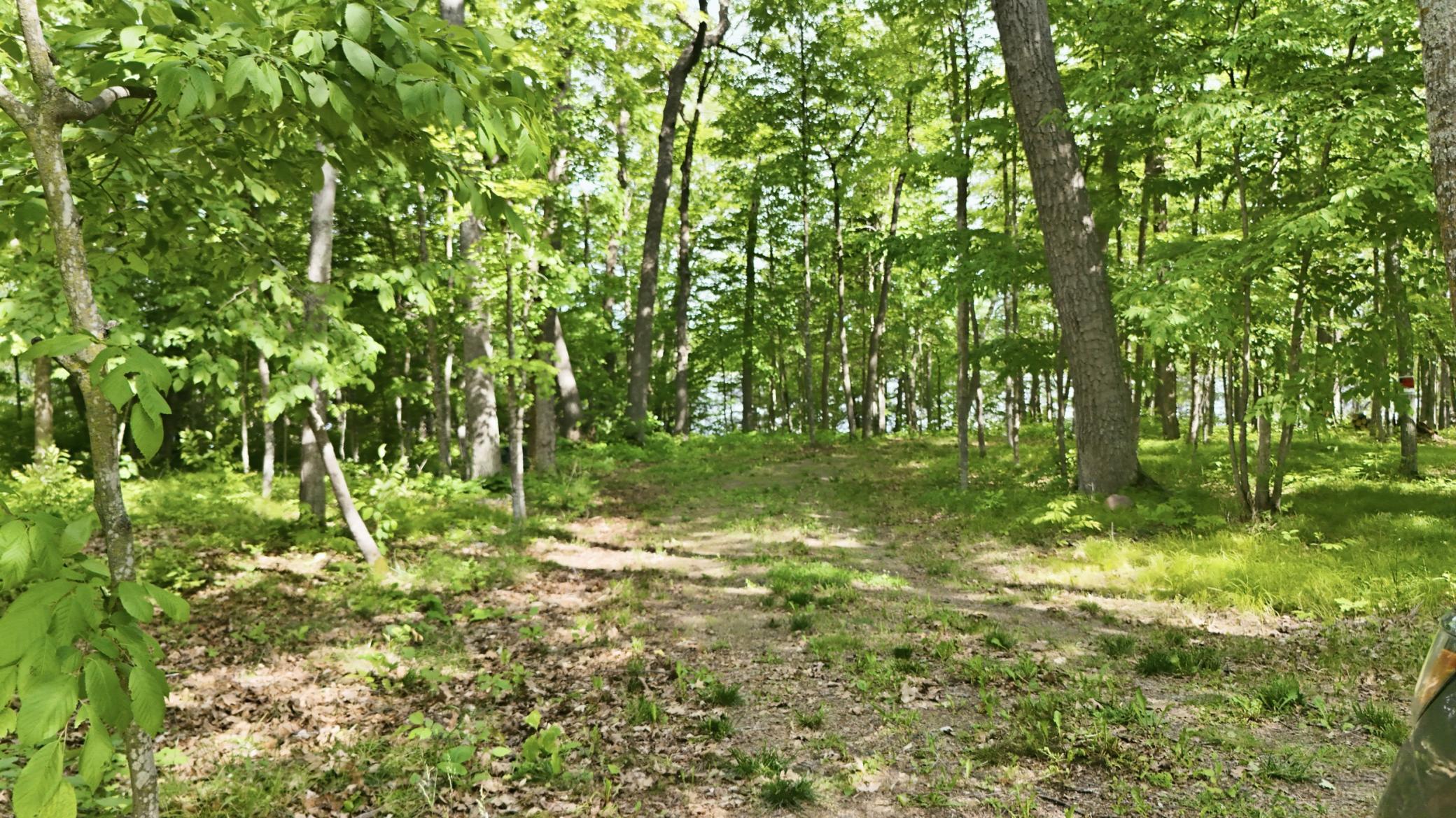 land for sale at 33775 Mcneil Road in Aitkin, MN (photo 20 of 24)