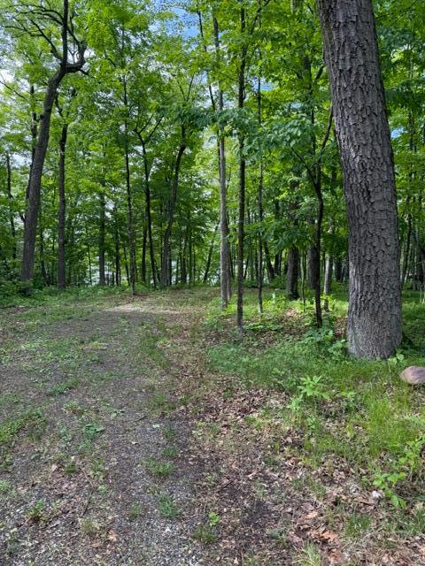 land for sale at 33775 Mcneil Road in Aitkin, MN (photo 3 of 24)