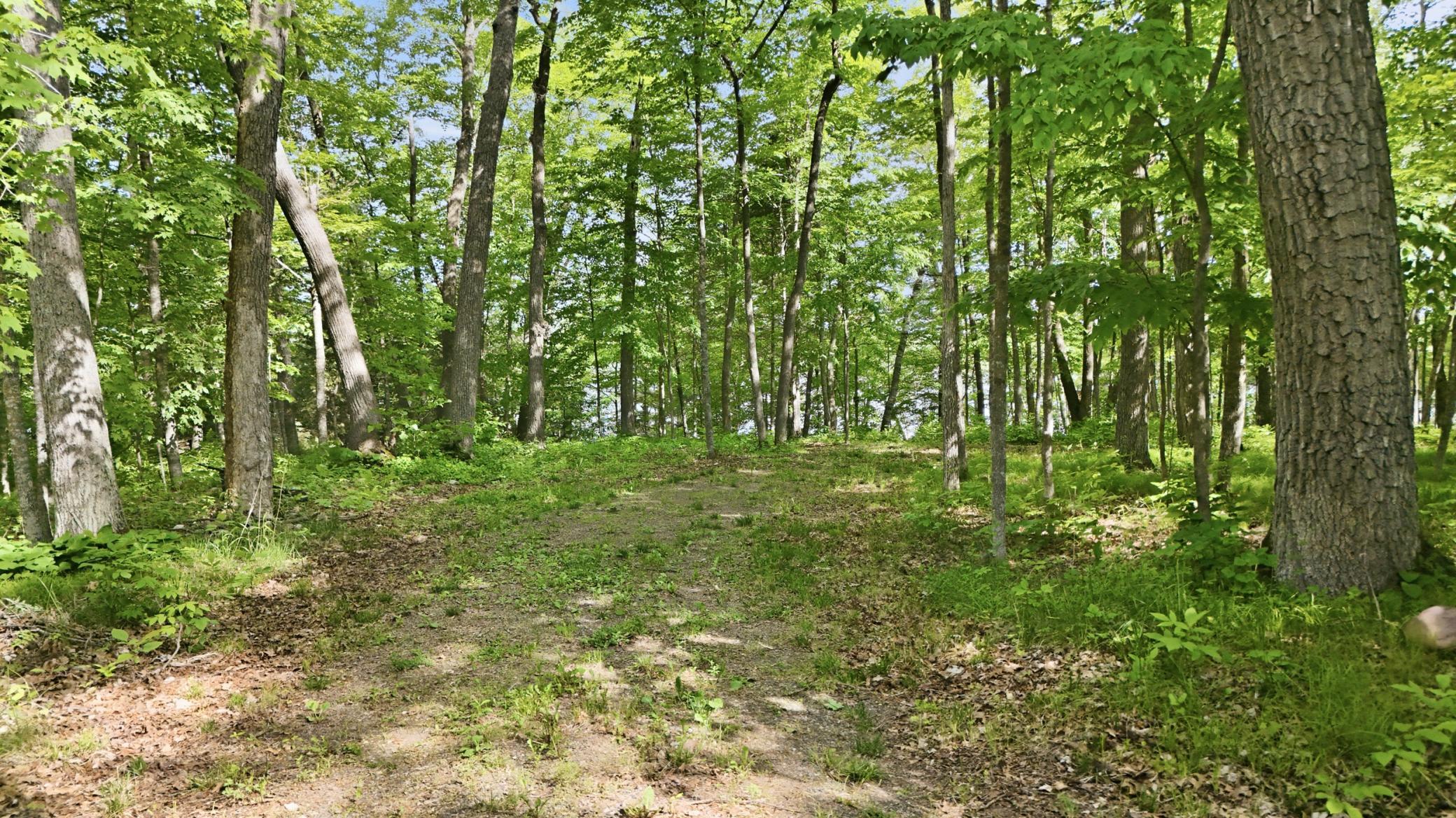 land for sale at 33775 Mcneil Road in Aitkin, MN (photo 22 of 24)
