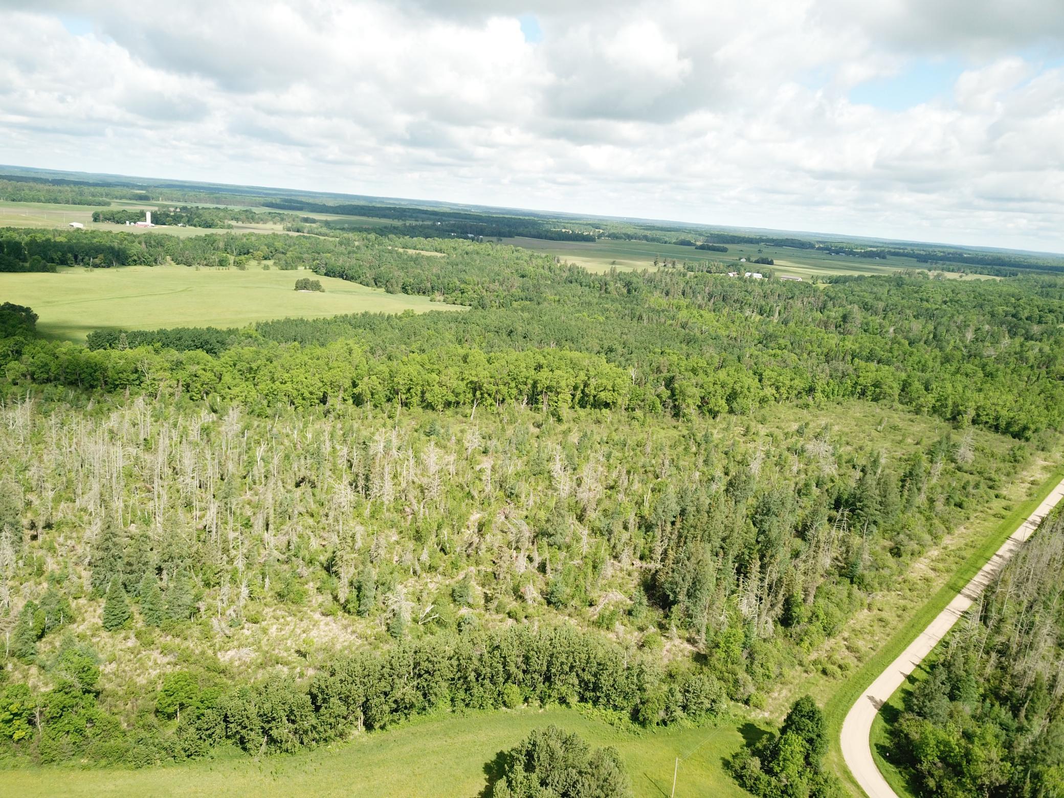 TBD1 Mud Lake Road, Bagley MN 56621 - Photo 2 of 31