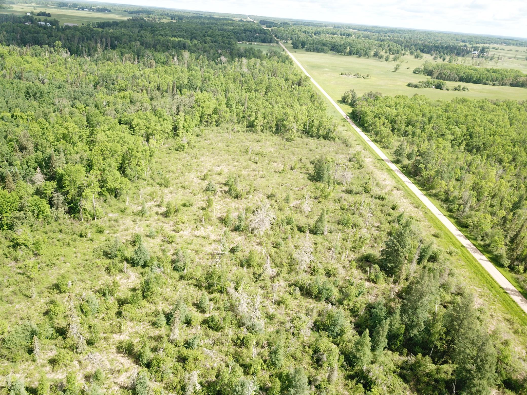 TBD1 Mud Lake Road, Bagley MN 56621 - Photo 12 of 31