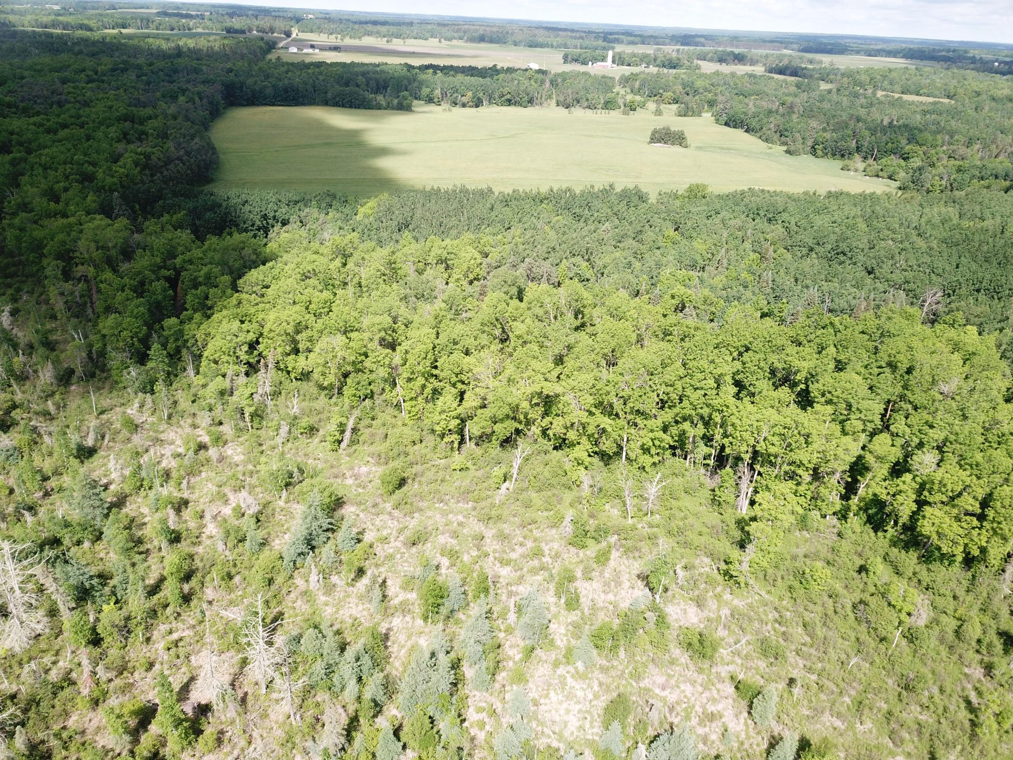 TBD1 Mud Lake Road, Bagley MN 56621 - Photo 13 of 31