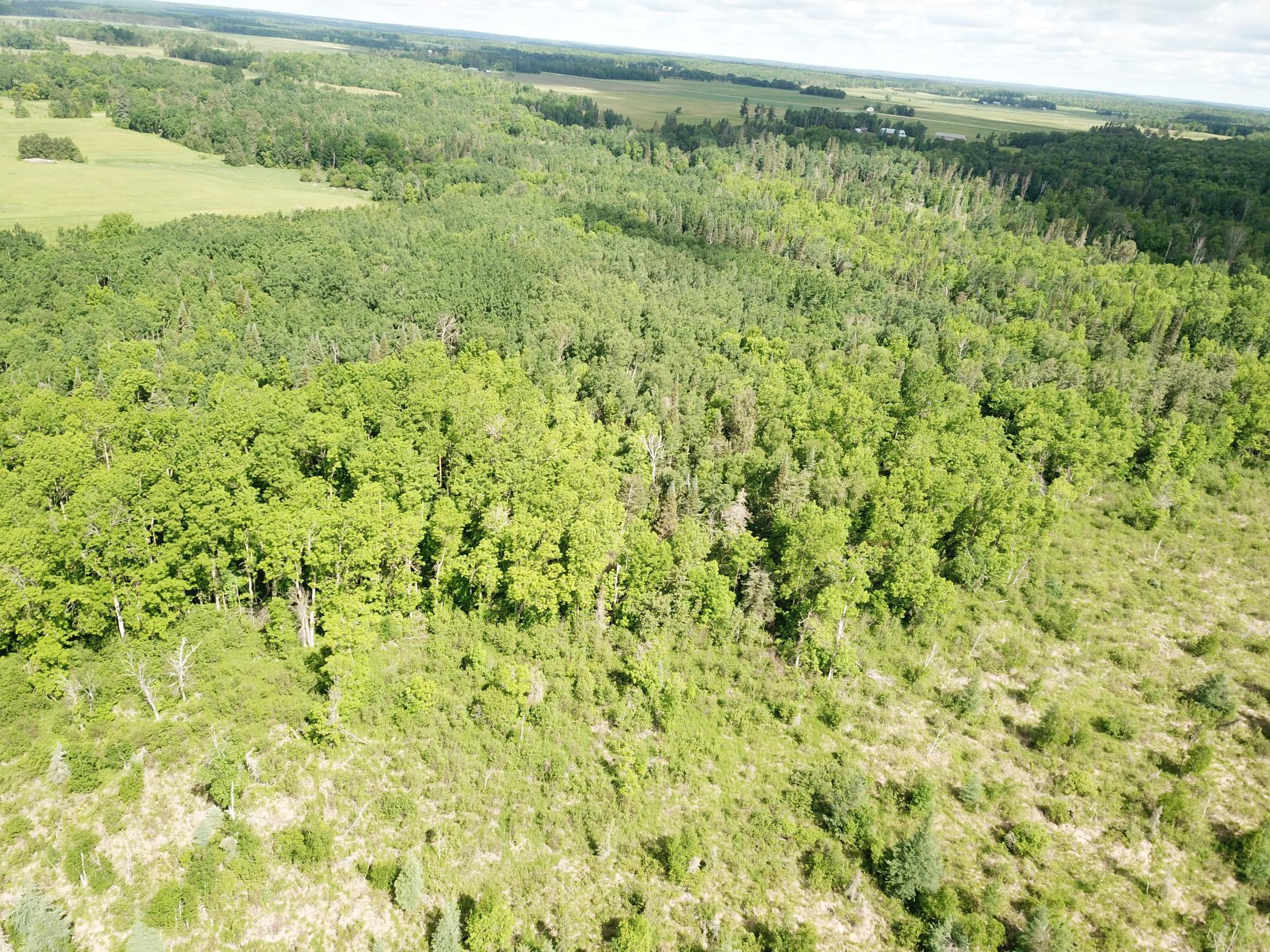 TBD1 Mud Lake Road, Bagley MN 56621 - Photo 14 of 31