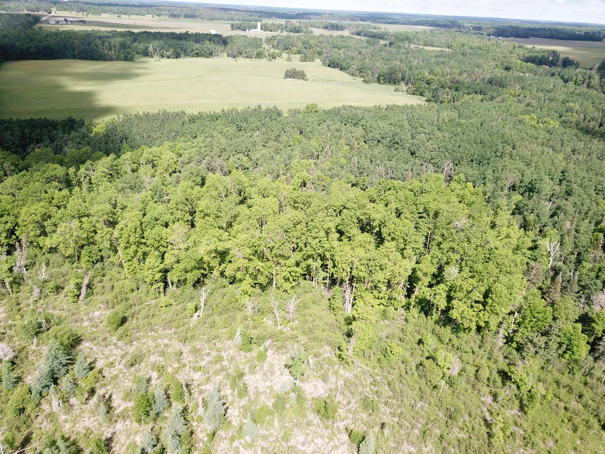 TBD1 Mud Lake Road, Bagley MN 56621 - Photo 15 of 31