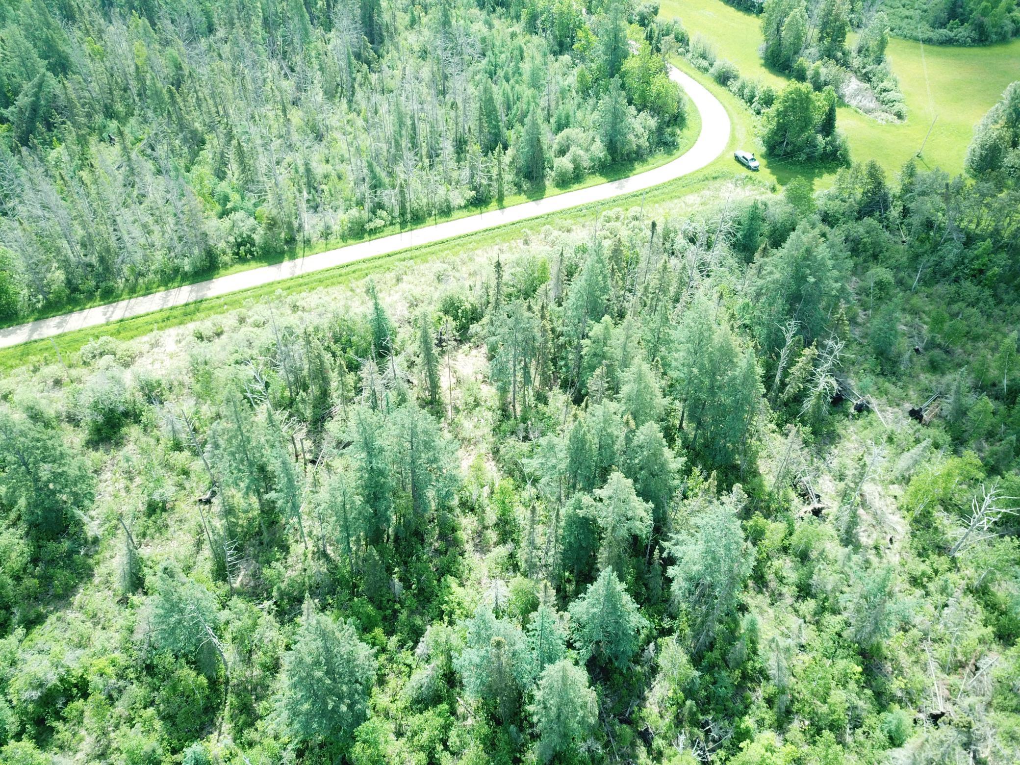TBD1 Mud Lake Road, Bagley MN 56621 - Photo 16 of 31