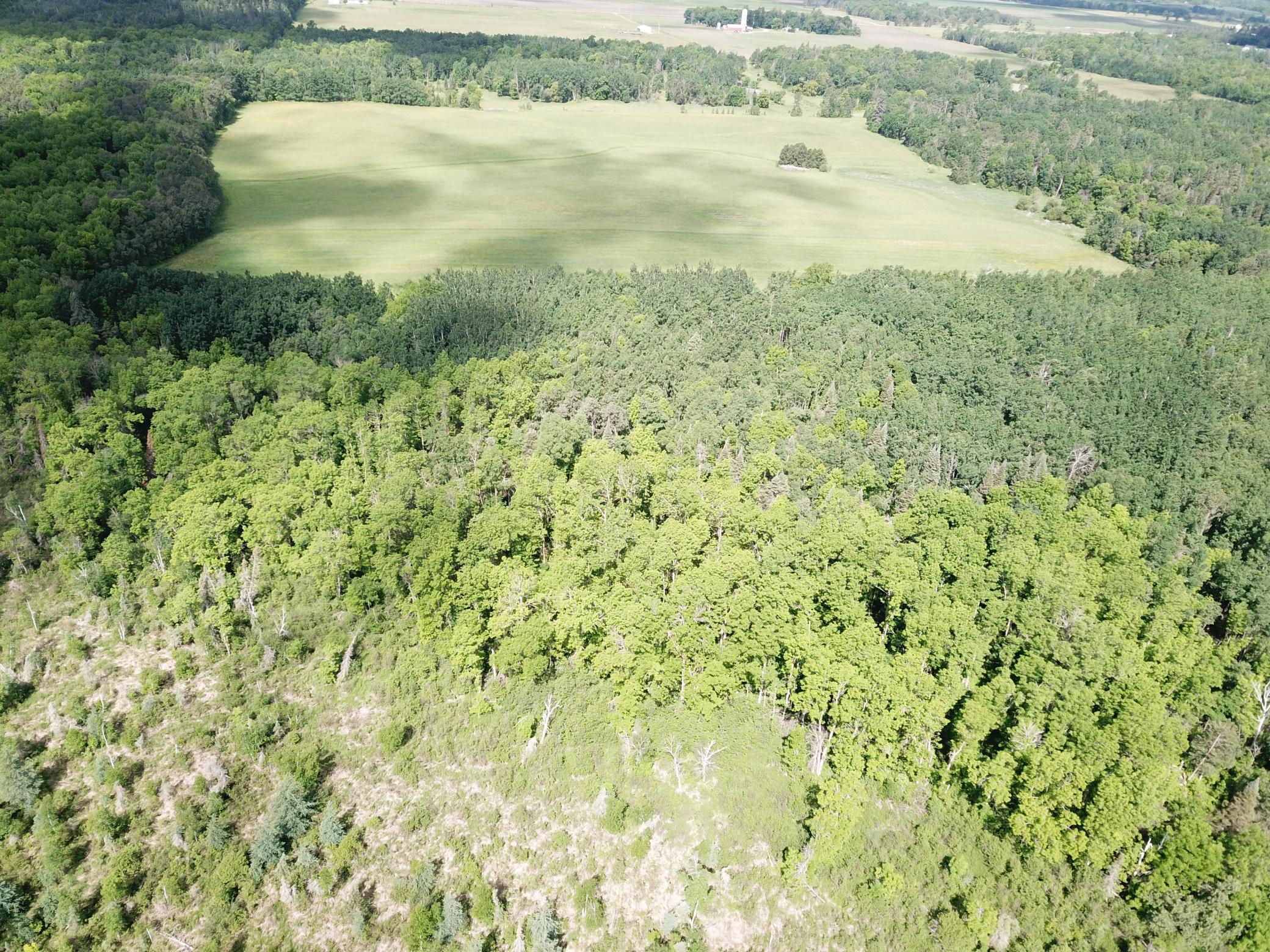 TBD1 Mud Lake Road, Bagley MN 56621 - Photo 17 of 31
