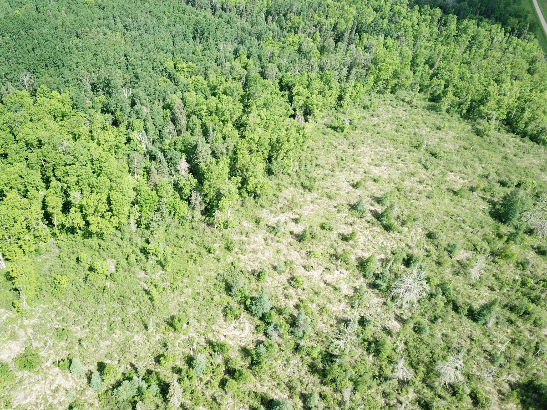 TBD1 Mud Lake Road, Bagley MN 56621 - Photo 18 of 31