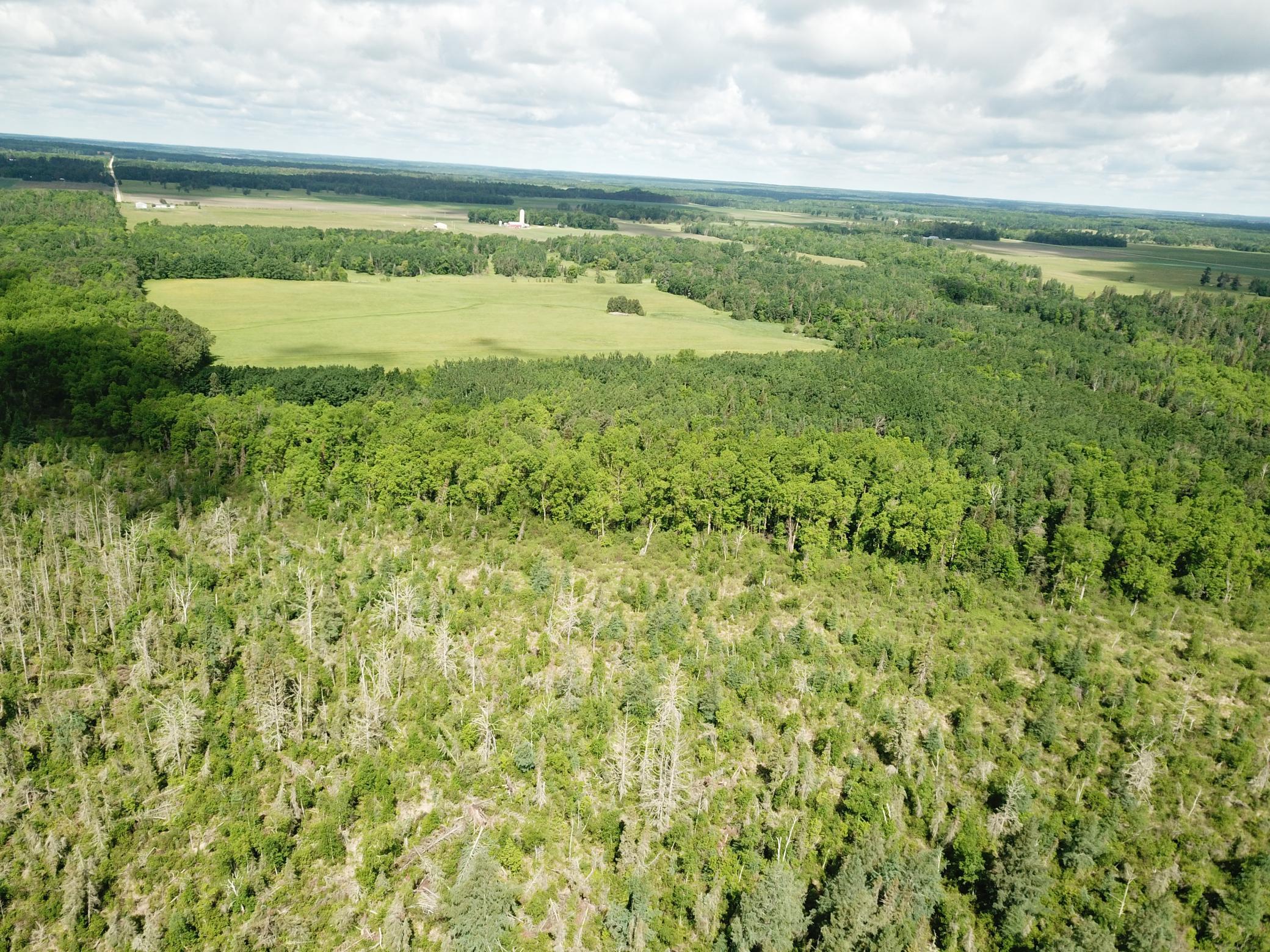 TBD1 Mud Lake Road, Bagley MN 56621 - Photo 19 of 31