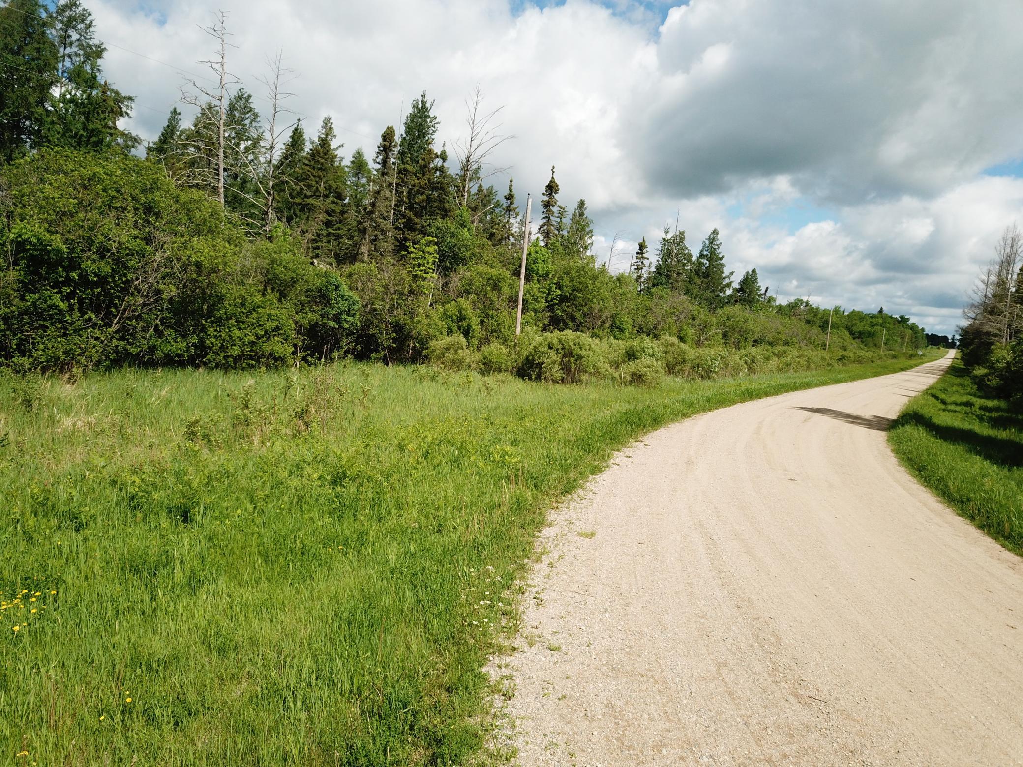 TBD1 Mud Lake Road, Bagley MN 56621 - Photo 20 of 31