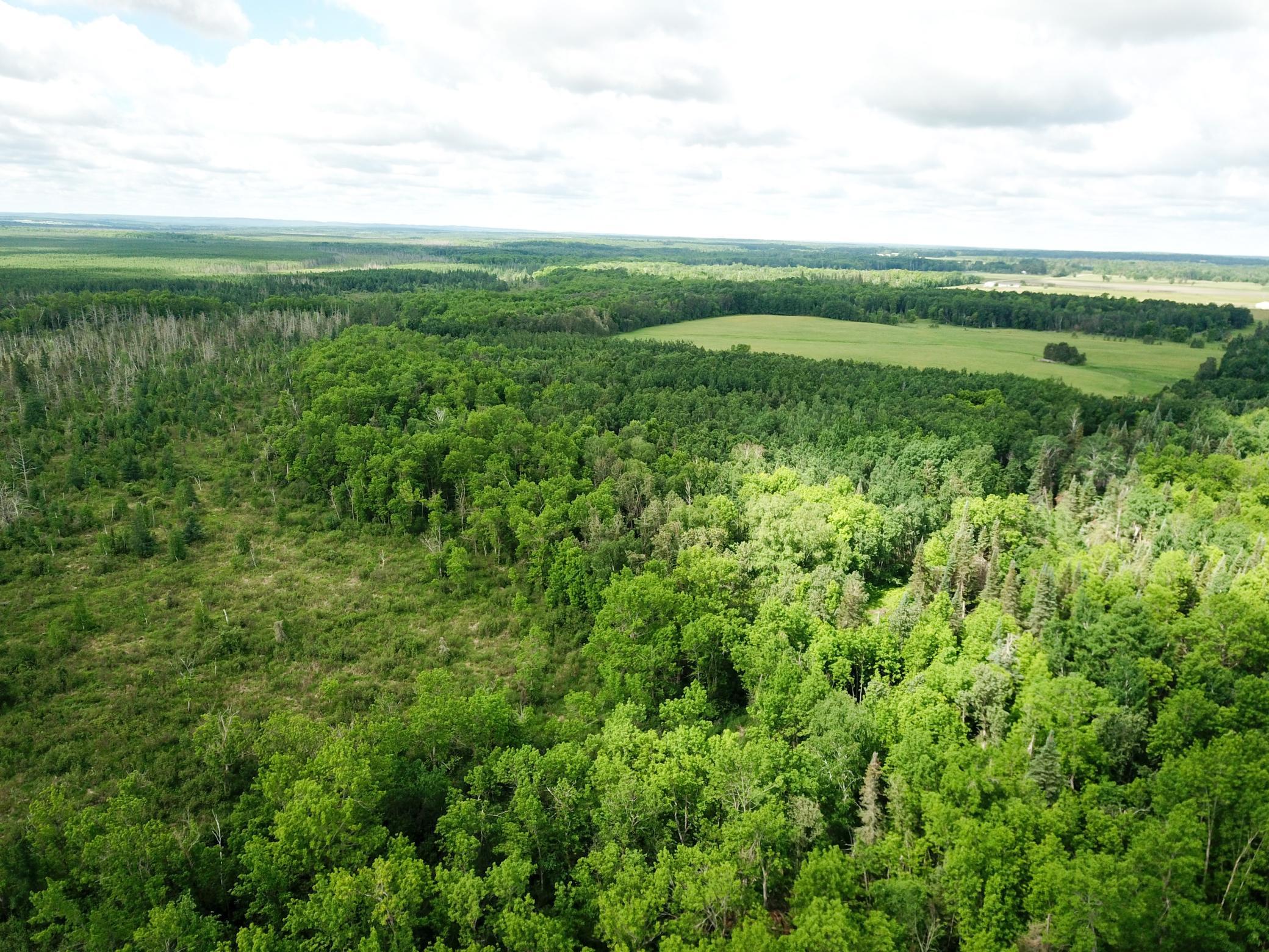 TBD1 Mud Lake Road, Bagley MN 56621 - Photo 21 of 31