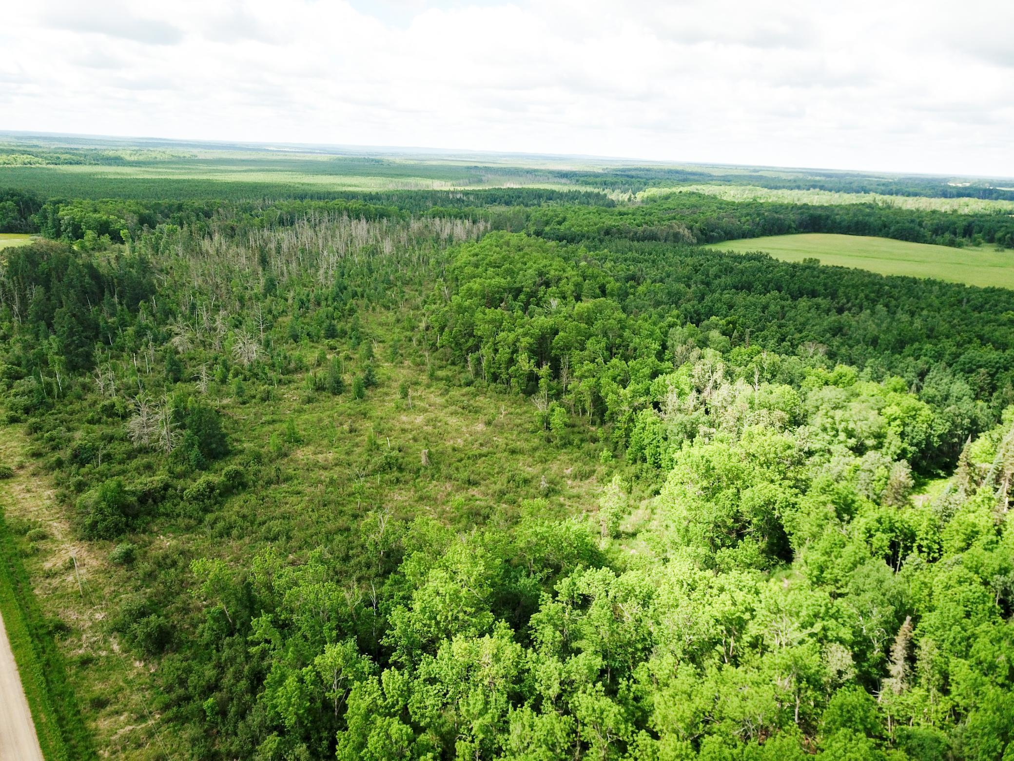 TBD1 Mud Lake Road, Bagley MN 56621 - Photo 22 of 31