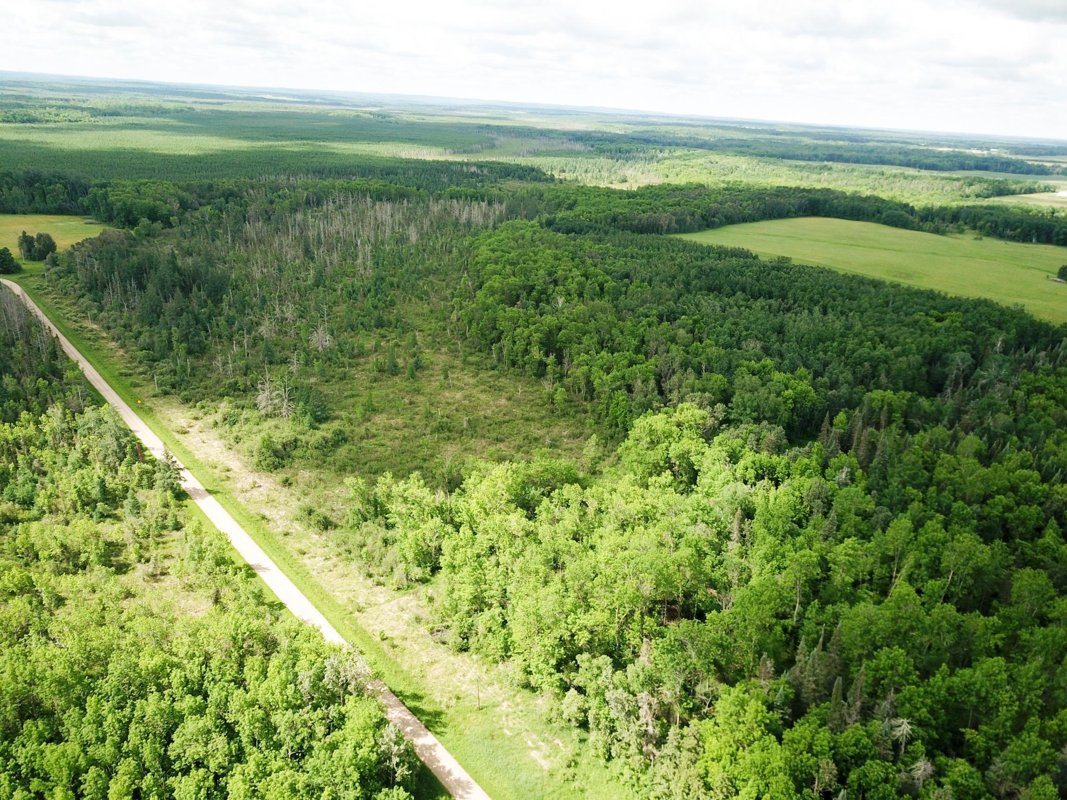 TBD1 Mud Lake Road, Bagley MN 56621 - Photo 23 of 31