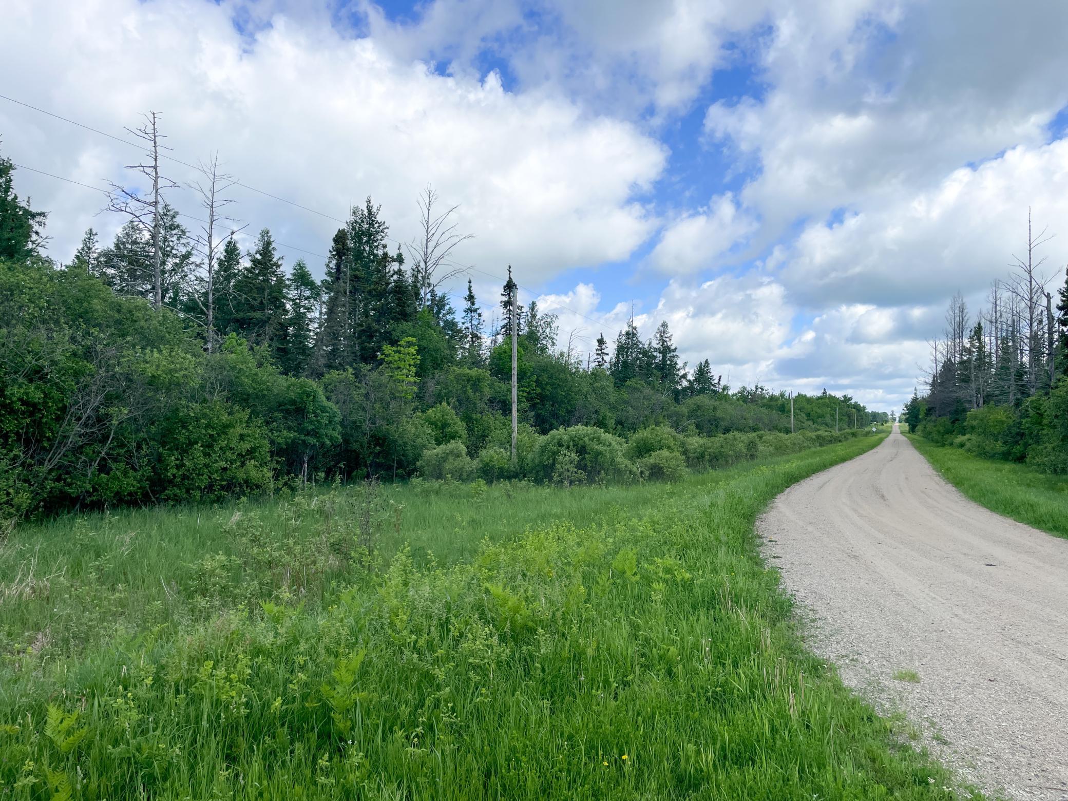 TBD1 Mud Lake Road, Bagley MN 56621 - Photo 24 of 31