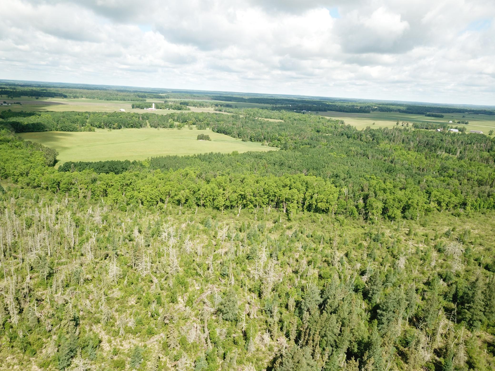 TBD1 Mud Lake Road, Bagley MN 56621 - Photo 5 of 31