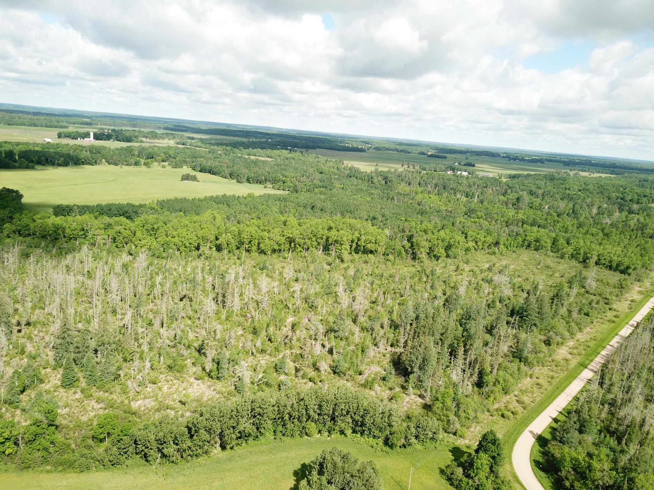 TBD1 Mud Lake Road, Bagley MN 56621 - Photo 6 of 31