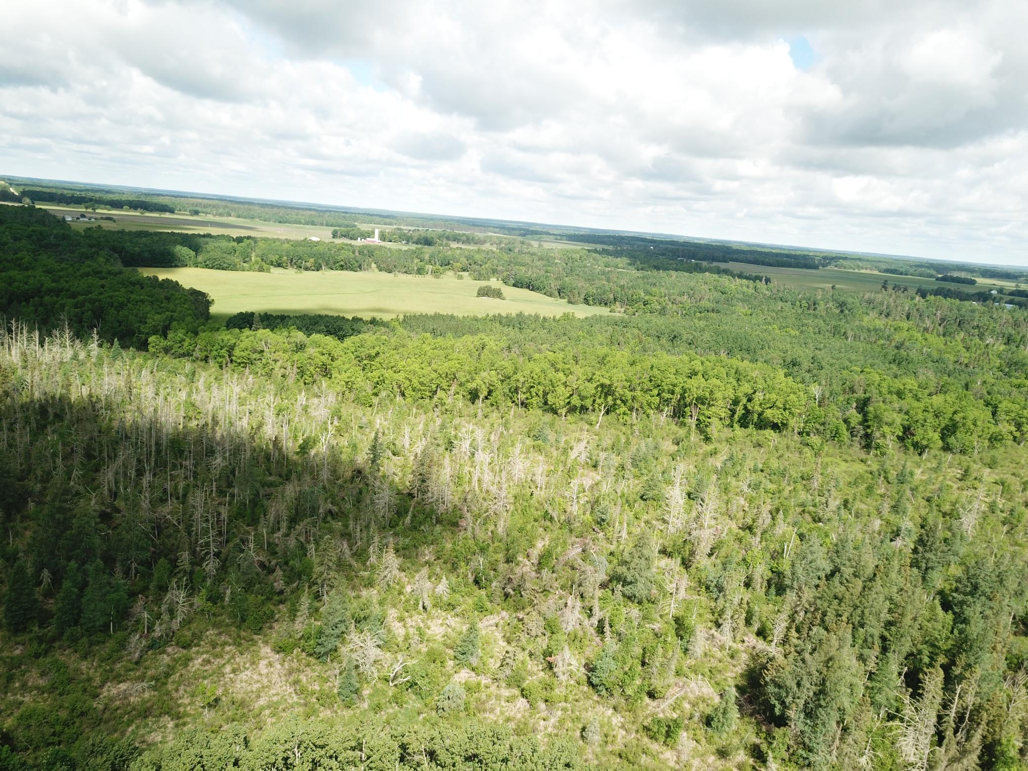 TBD1 Mud Lake Road, Bagley MN 56621 - Photo 7 of 31