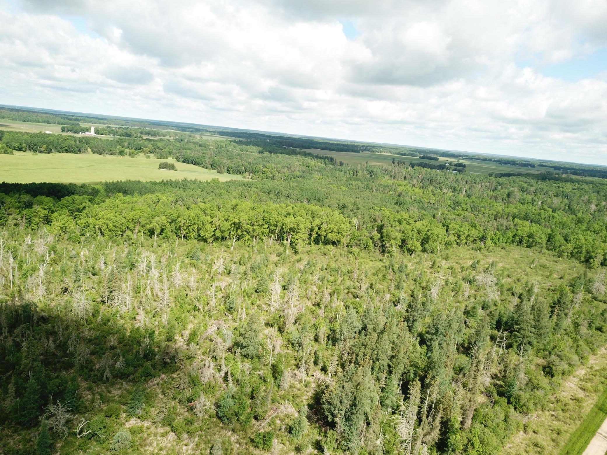 TBD1 Mud Lake Road, Bagley MN 56621 - Photo 8 of 31
