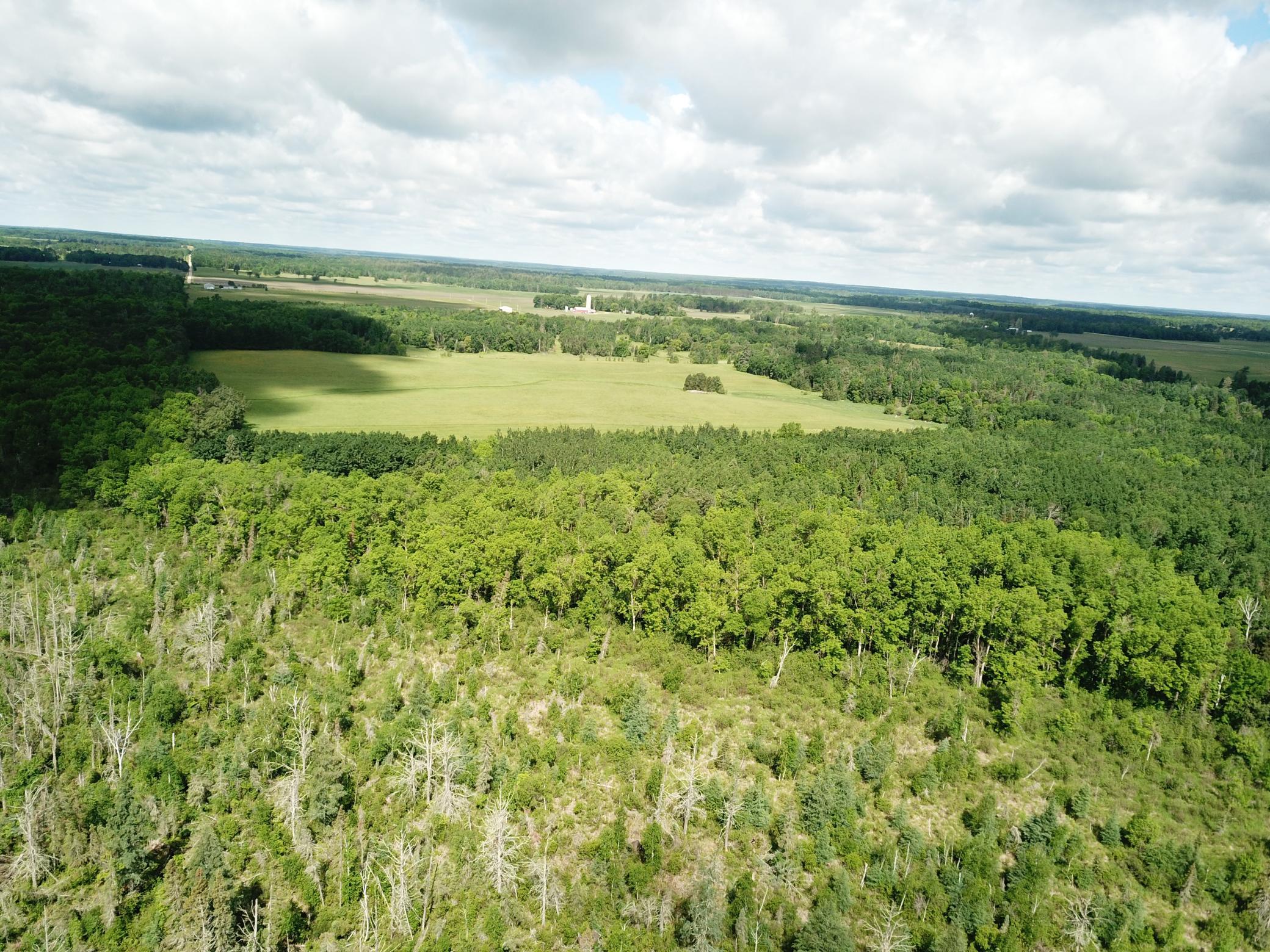 TBD1 Mud Lake Road, Bagley MN 56621 - Photo 9 of 31