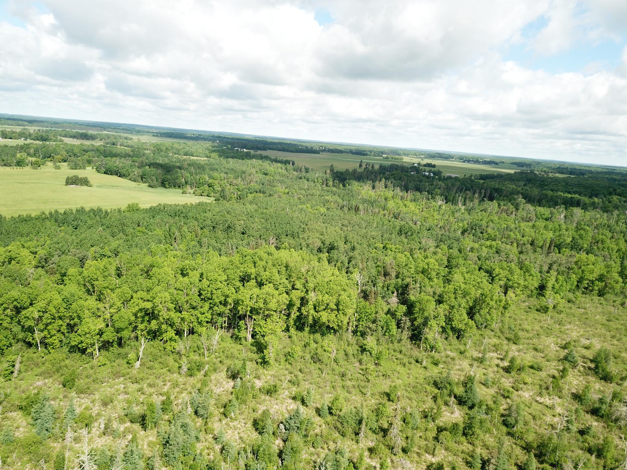 TBD1 Mud Lake Road, Bagley MN 56621 - Photo 10 of 31