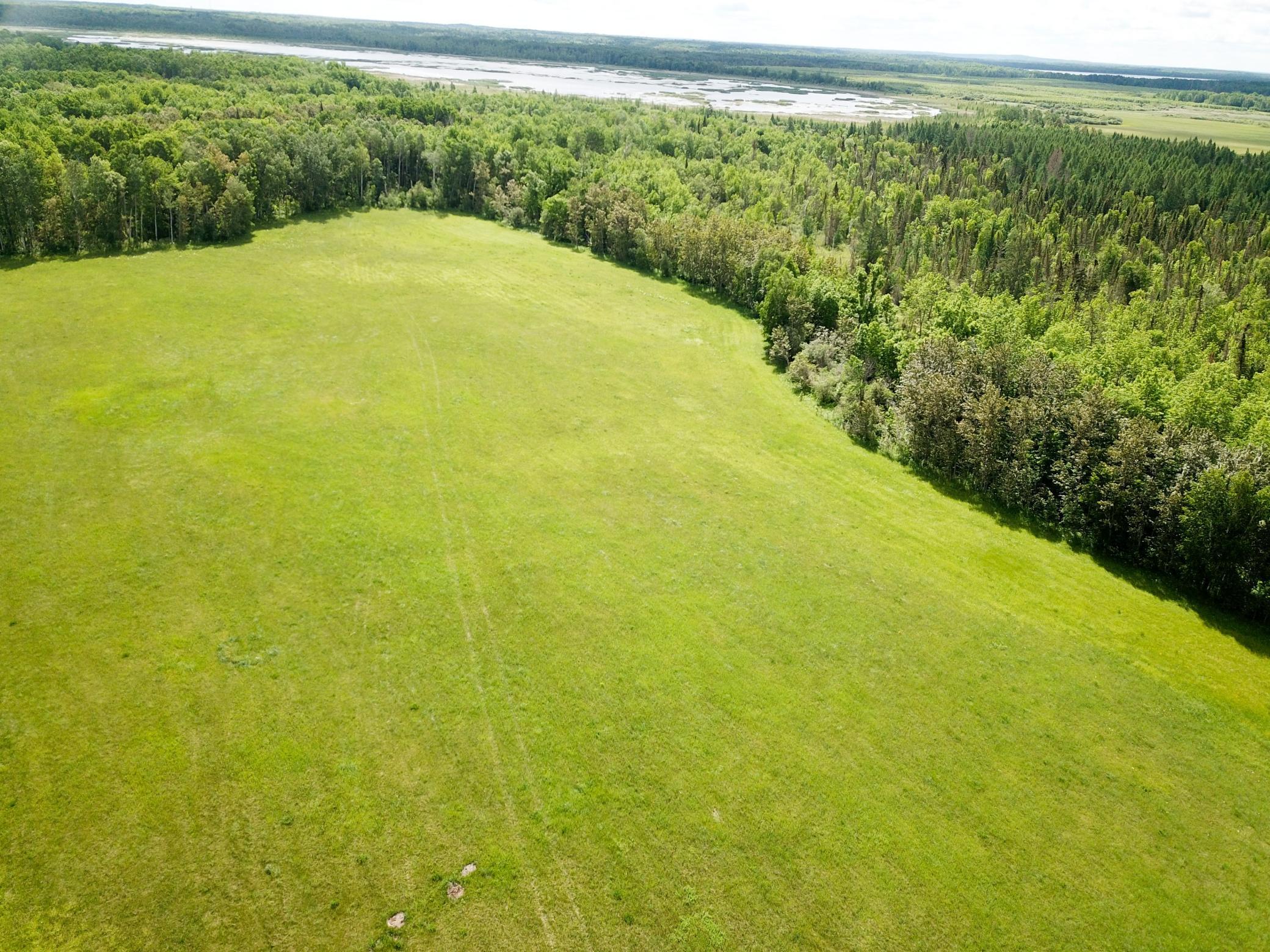 TBD2 Mud Lake Road, Bagley MN 56621 - Photo 11 of 46