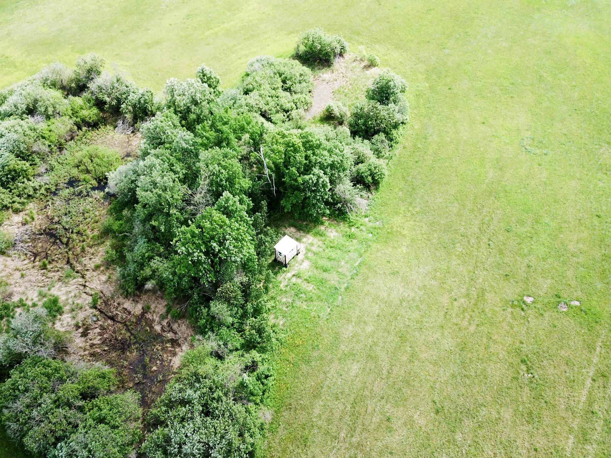TBD2 Mud Lake Road, Bagley MN 56621 - Photo 12 of 46