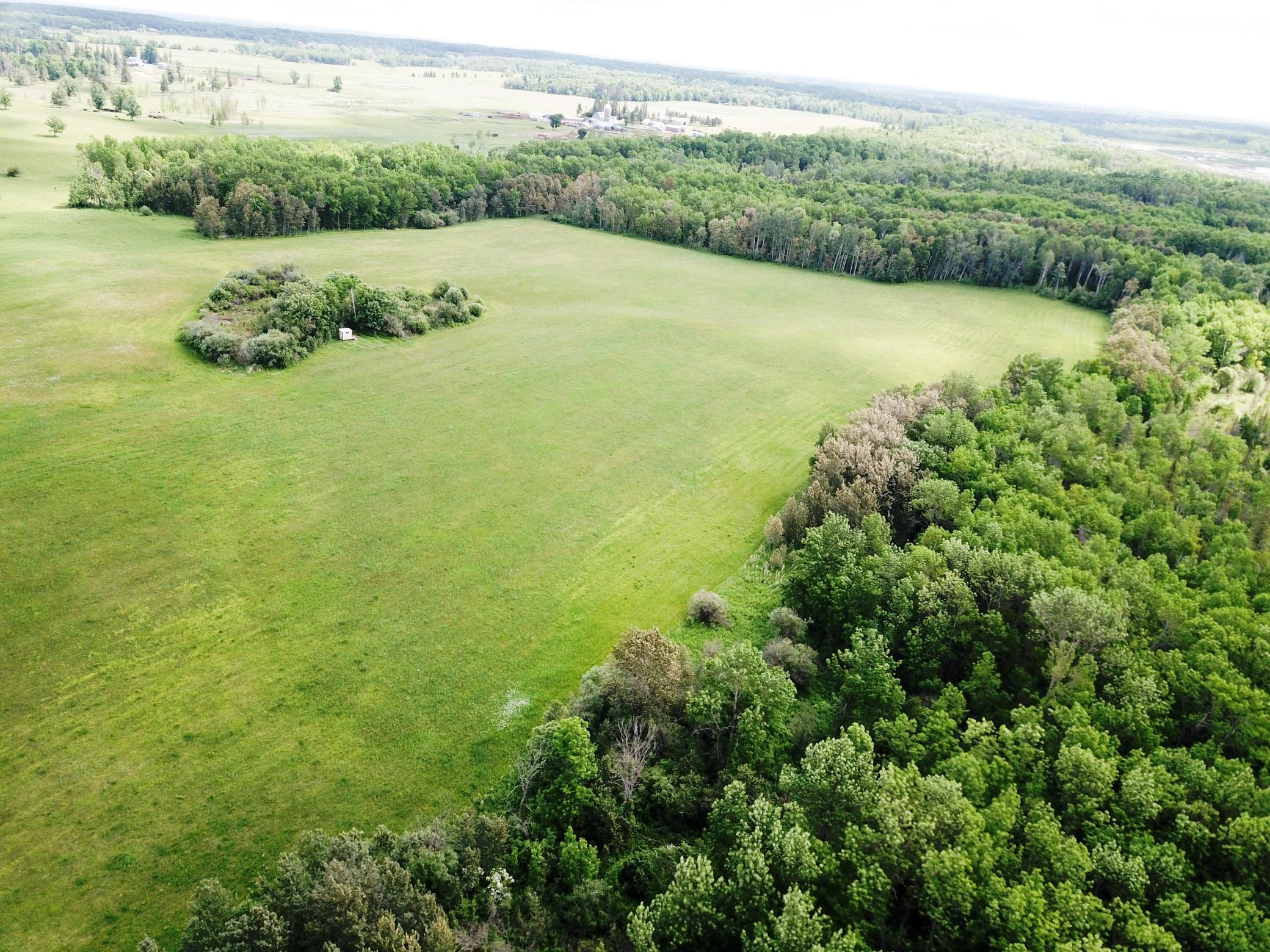TBD2 Mud Lake Road, Bagley MN 56621 - Photo 3 of 46