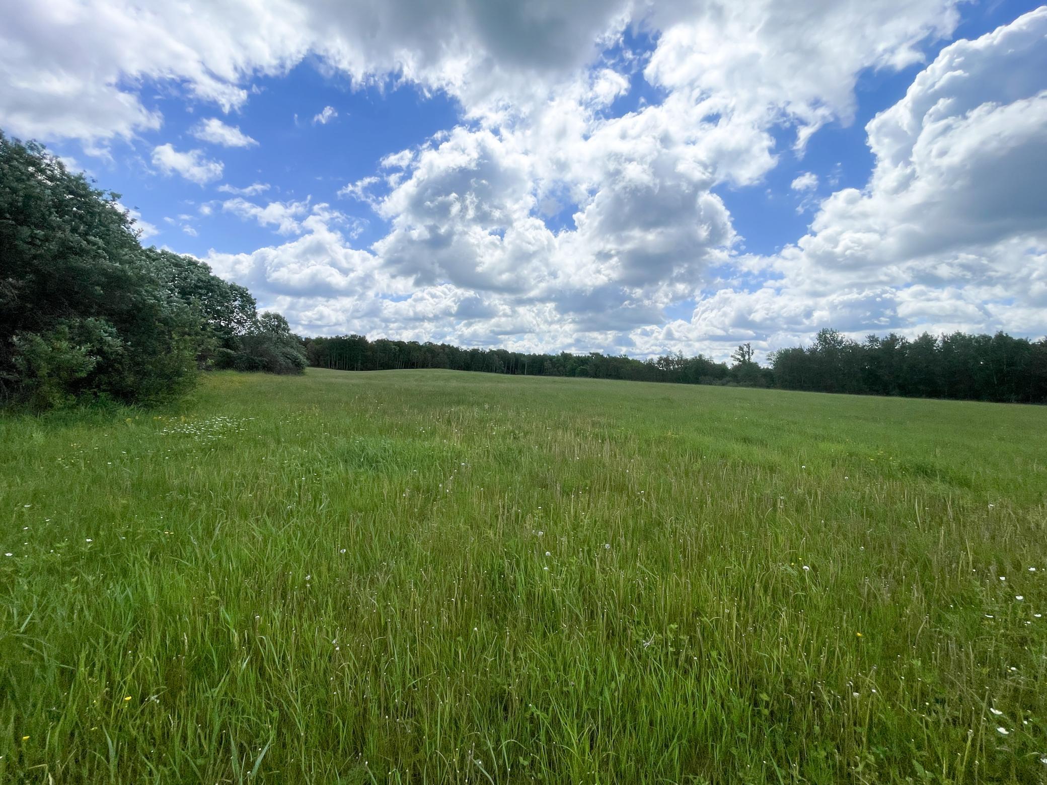 TBD2 Mud Lake Road, Bagley MN 56621 - Photo 21 of 46