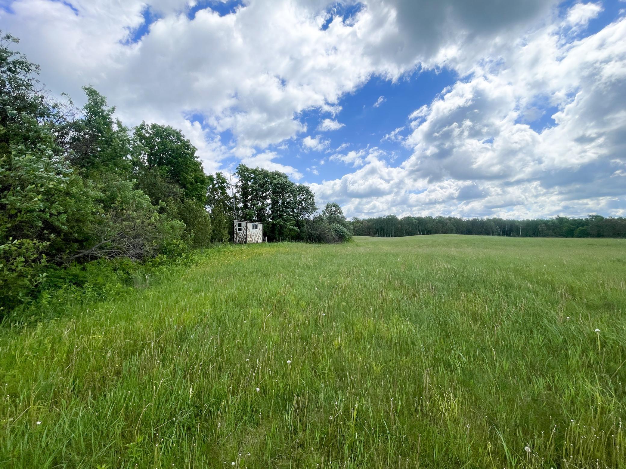 TBD2 Mud Lake Road, Bagley MN 56621 - Photo 22 of 46