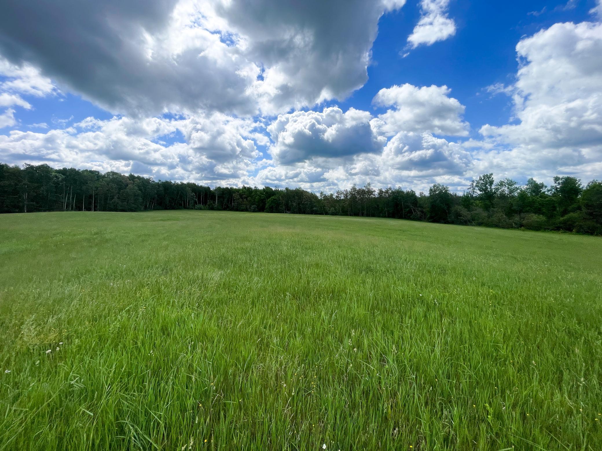 TBD2 Mud Lake Road, Bagley MN 56621 - Photo 28 of 46