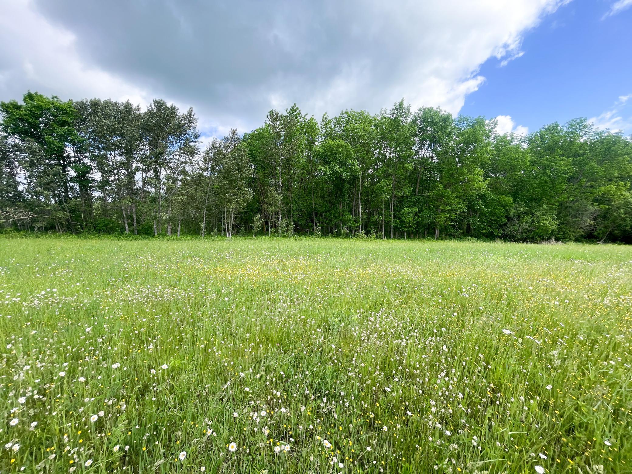 TBD2 Mud Lake Road, Bagley MN 56621 - Photo 31 of 46