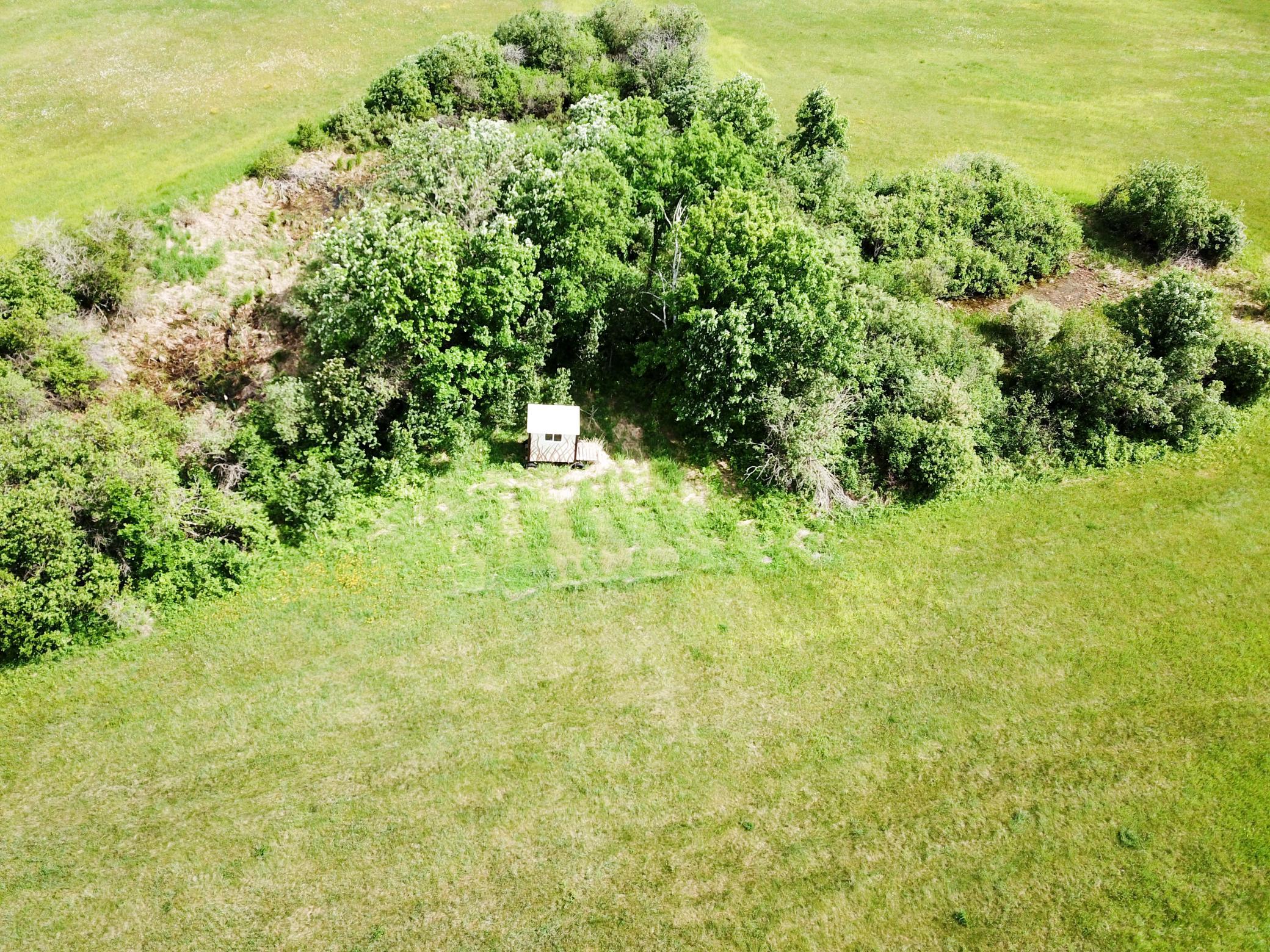 TBD2 Mud Lake Road, Bagley MN 56621 - Photo 9 of 46