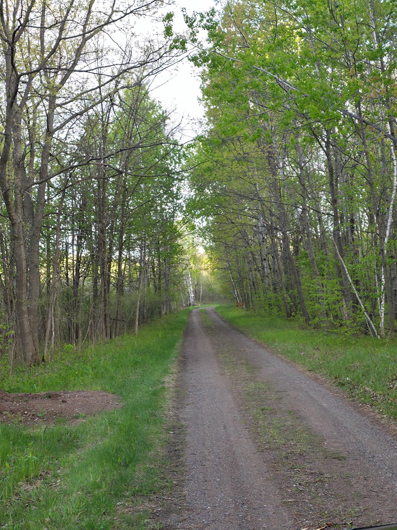 34437 County 18, Cushing MN 56443 - Photo 16 of 24