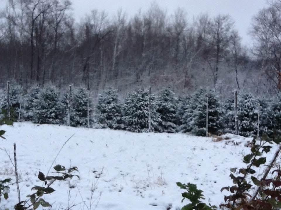 34437 County 18, Cushing MN 56443 - Photo 21 of 24