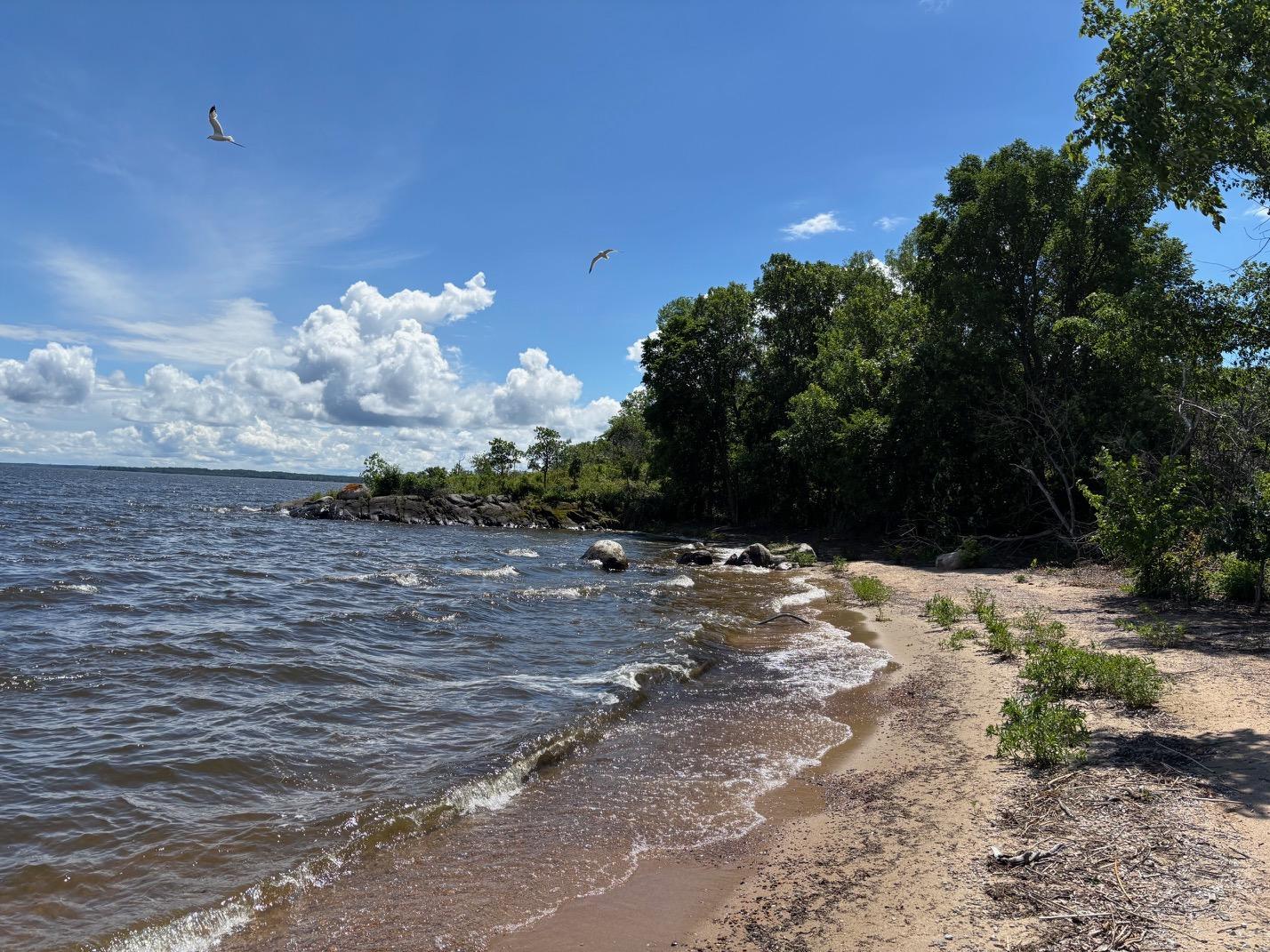 06-3642-000 Little Oak, Northwest Angle Unorg. Terr. MN 56711 - Photo 2 of 9