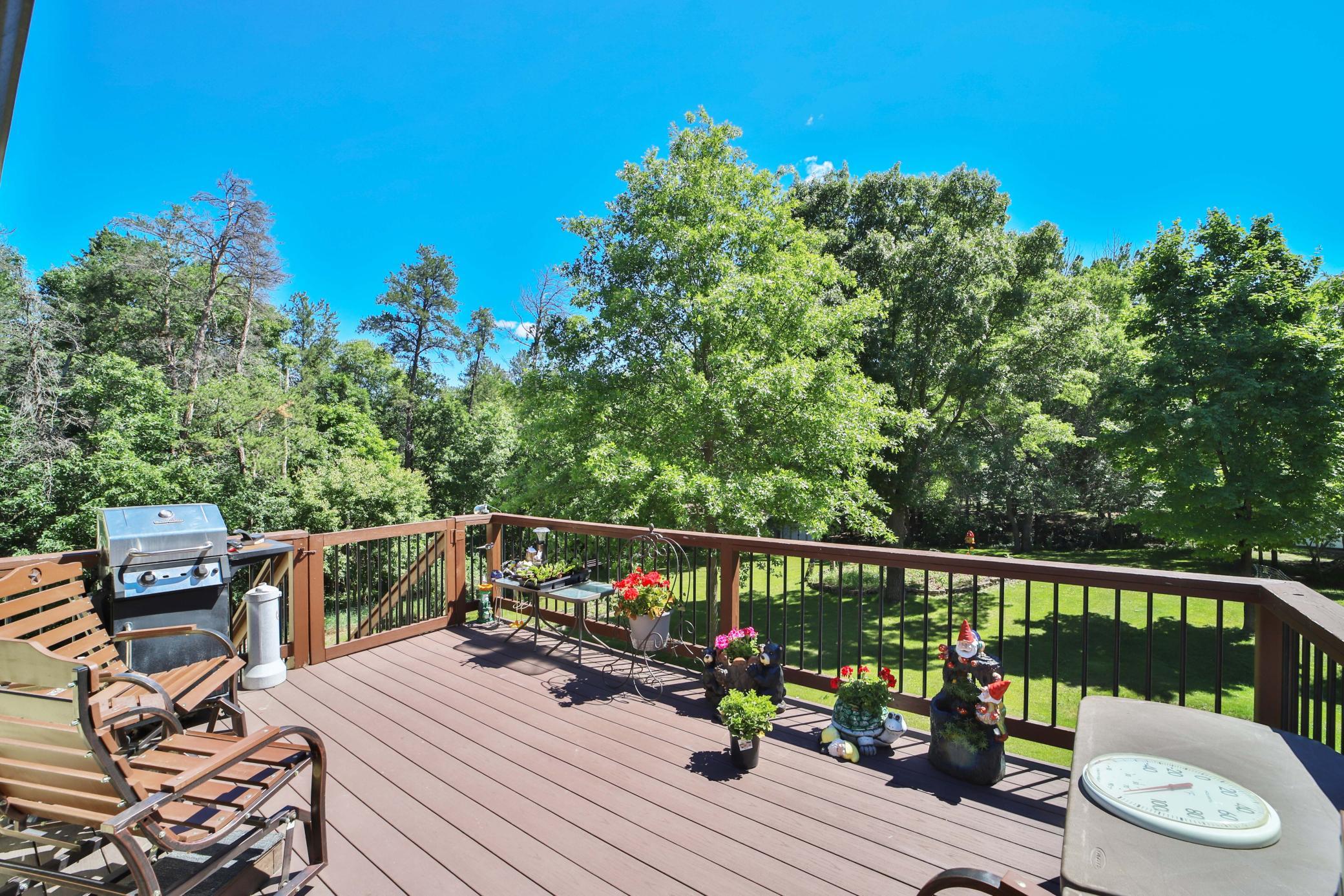 13384 Birch Drive, Baxter MN 56425 - Photo 42 of 47