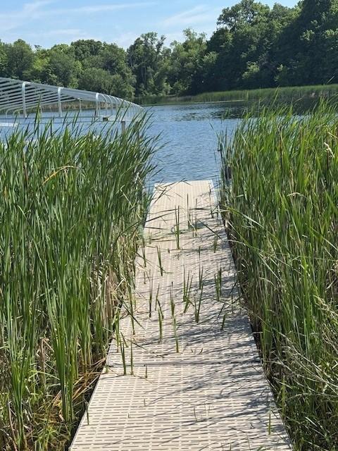 1856 land for sale at 2221 Reubens #29 Lane SW in Farwell, MN (photo 28 of 31)