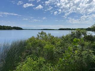 1856 land for sale at 2221 Reubens #29 Lane SW in Farwell, MN (photo 10 of 31)
